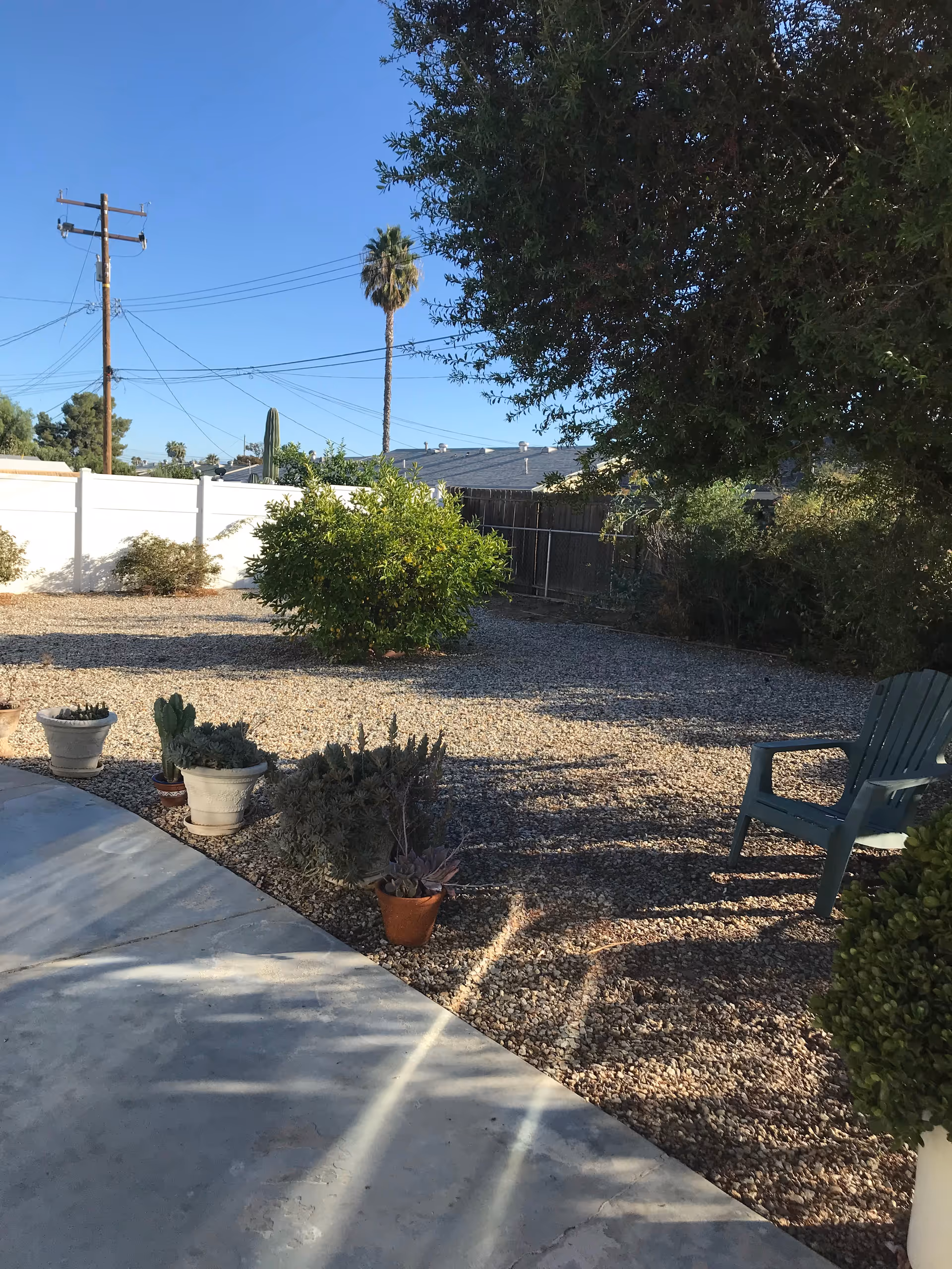 Outdoor garden area with gravel ground, several potted plants, a green plastic chair, a white fence, and a tall palm tree in the background under a clear blue sky.