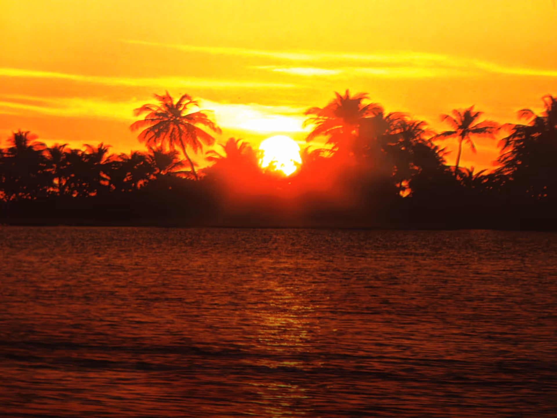 A vibrant sunset over a body of water with silhouettes of palm trees along the horizon.