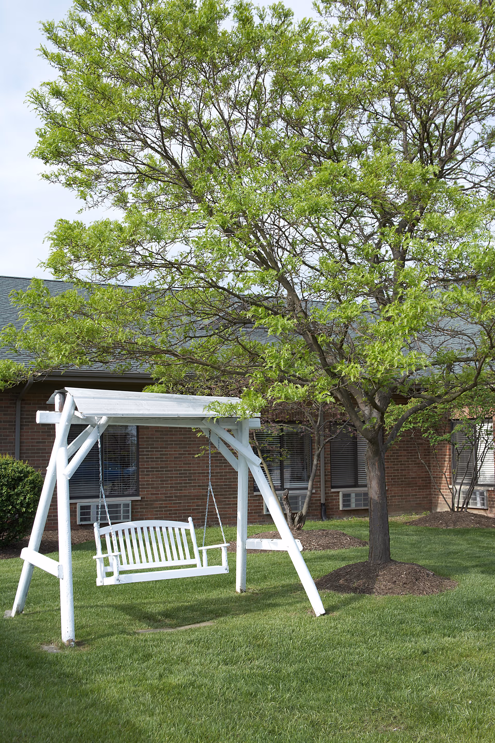 A white wooden porch swing hanging from a white wooden frame on a green lawn with a large leafy tree nearby and a brick building with windows in the background.