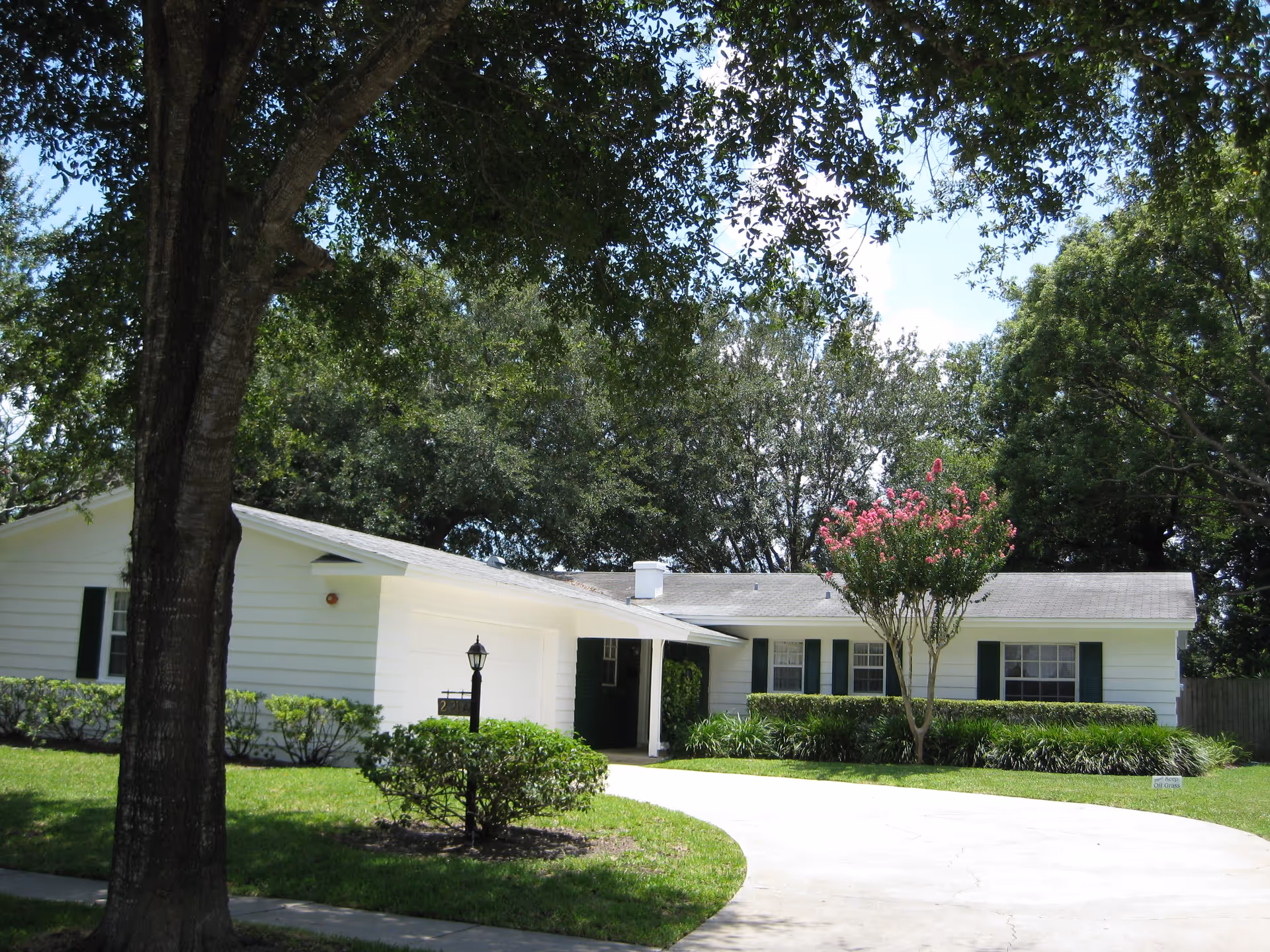Single-story white house with green shutters surrounded by trees and bushes, featuring a curved driveway and a small tree with pink flowers in the front yard under a clear blue sky.
