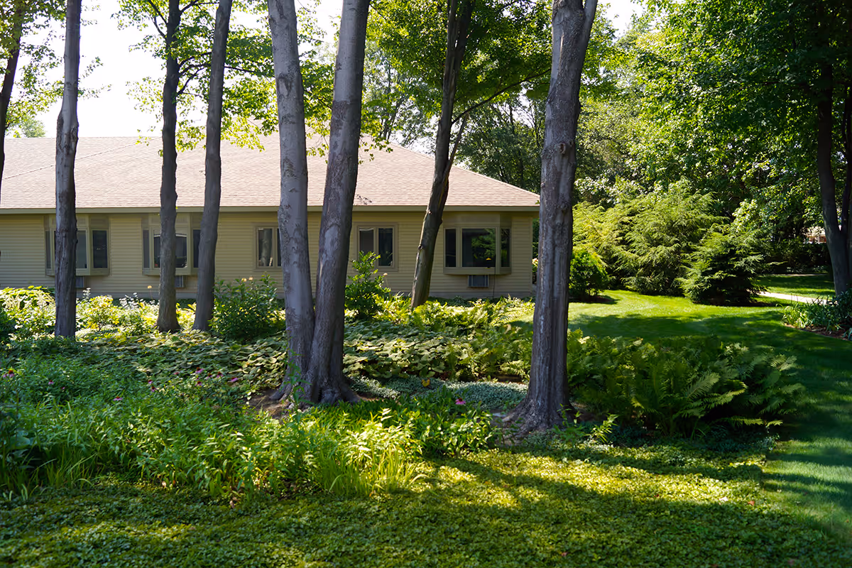 A single-story building with beige siding and a brown roof is partially visible behind several tall trees. The foreground features a lush garden with various green plants, bushes, and grass under bright daylight.