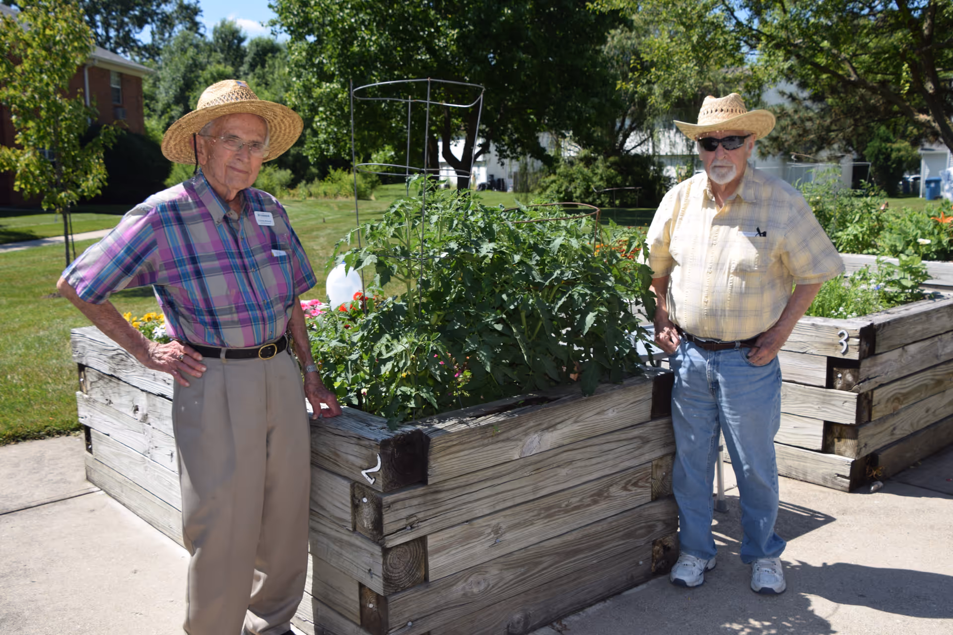 Two elderly men wearing straw hats stand beside raised wooden garden beds filled with green plants and flowers outdoors on a sunny day. One man is wearing a plaid shirt and beige pants, and the other is wearing a yellow plaid shirt and blue jeans. Trees and a building are visible in the background.