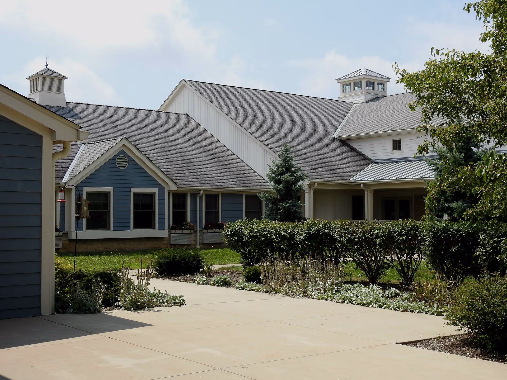 Sidewalk and landscaped shrubs leading to the front entrance of a low-rise senior living building with blue siding and gabled roofs.