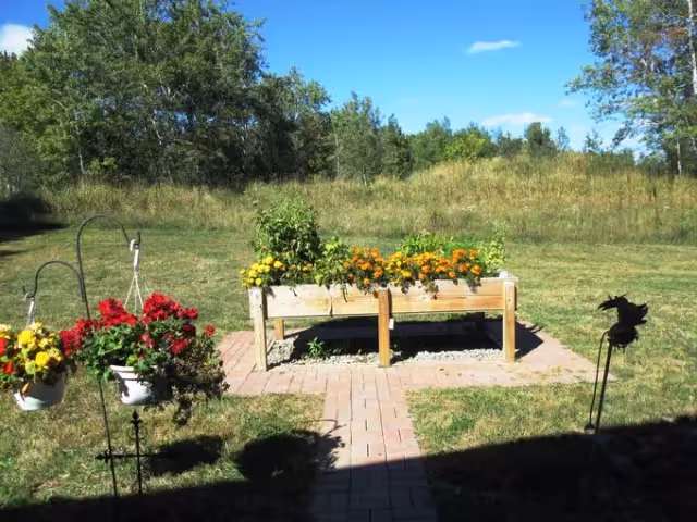Outdoor garden area with a raised wooden planter box filled with yellow and orange flowers, surrounded by a brick-paved path. There are hanging flower pots with red and yellow flowers on the left side and a grassy field with trees in the background under a clear blue sky.