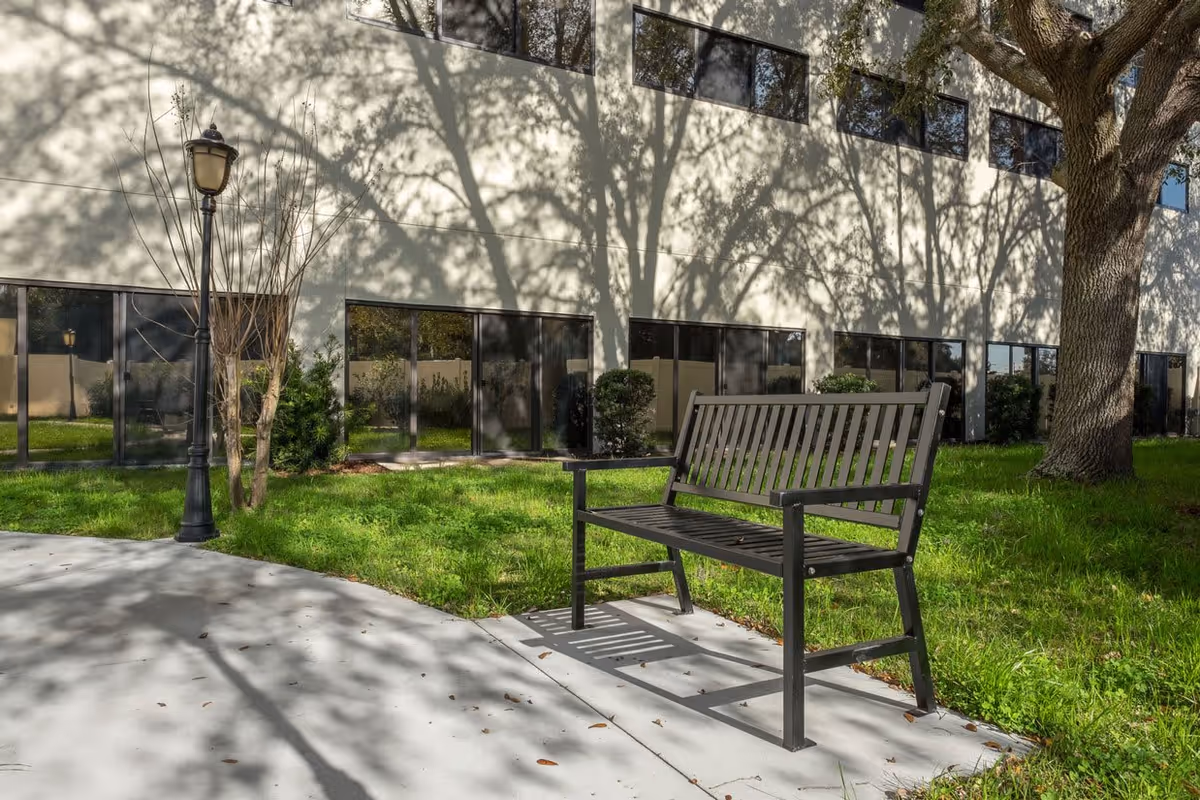 Outdoor area with a black metal bench on a concrete path, green grass, a large tree, a lamp post, and a building with multiple windows in the background.