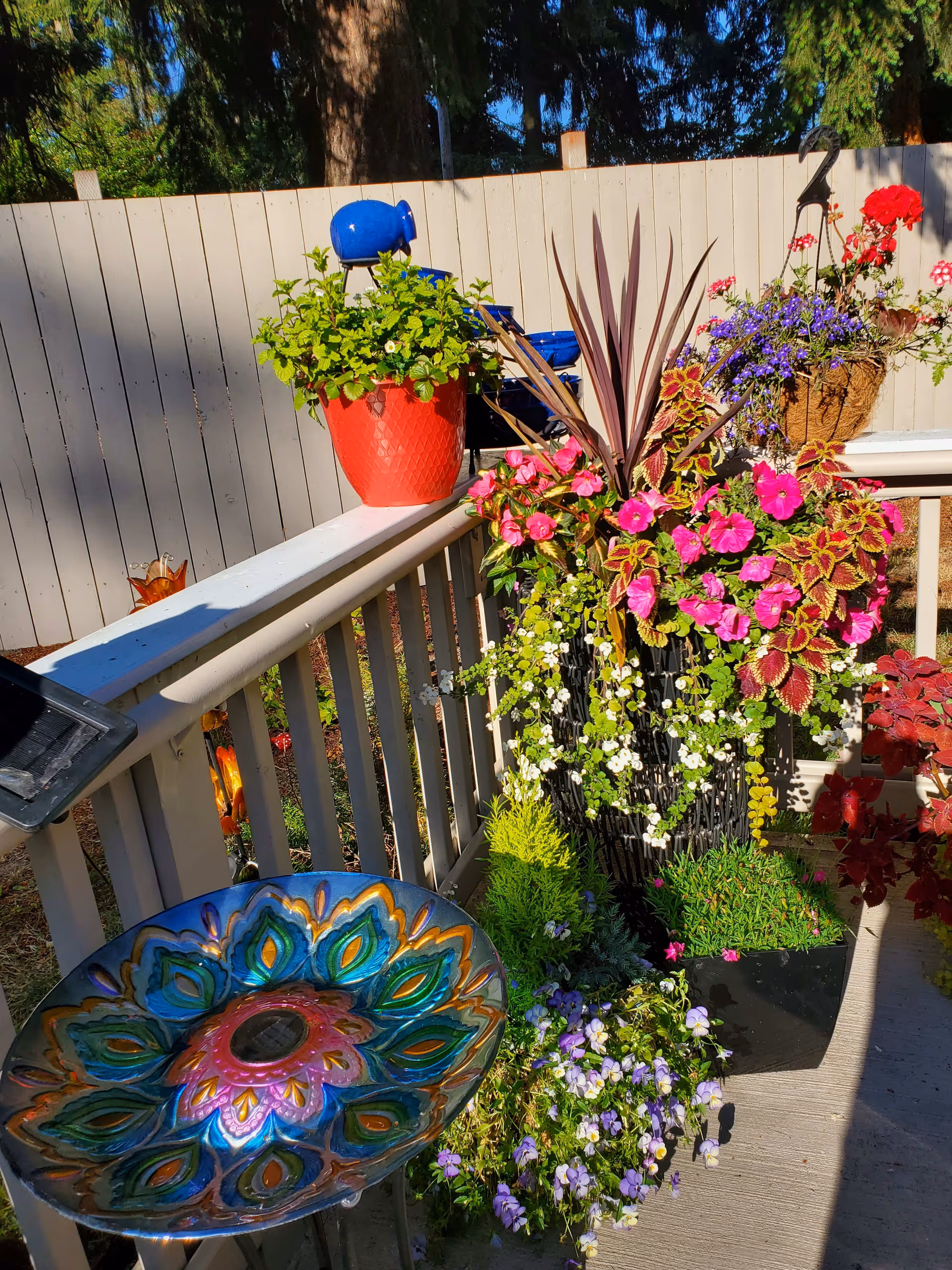 Photo 5 of Amaanah Home