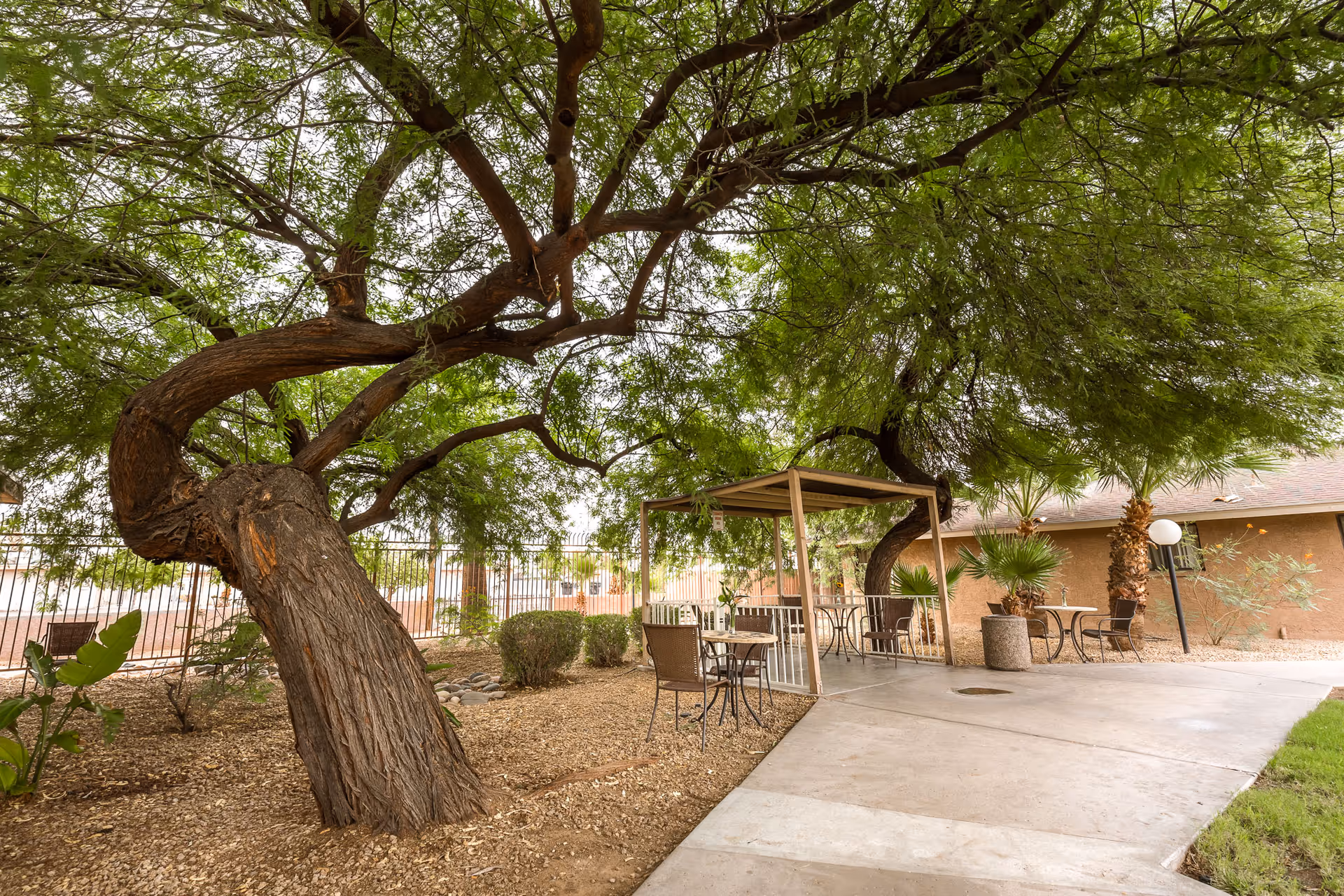 Outdoor seating area at Encanto Palms Assisted Living featuring metal tables and chairs under large, leafy trees with a paved walkway and surrounding desert landscaping including bushes and palm trees.