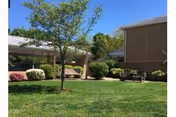 A sunny outdoor courtyard area with a green lawn, a tree in the center, bushes along the edges, and a bench near a brick building under a clear blue sky.