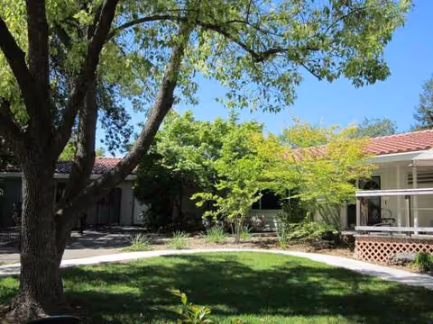 Outdoor courtyard view with trees, lawn, and a walkway near Olive Glen Main House.