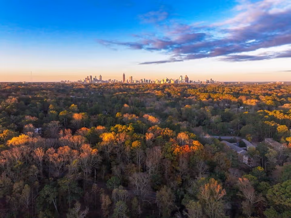 Aerial view of a dense forest with trees showing autumn colors under a partly cloudy sky, with a city skyline visible in the distance at sunset.