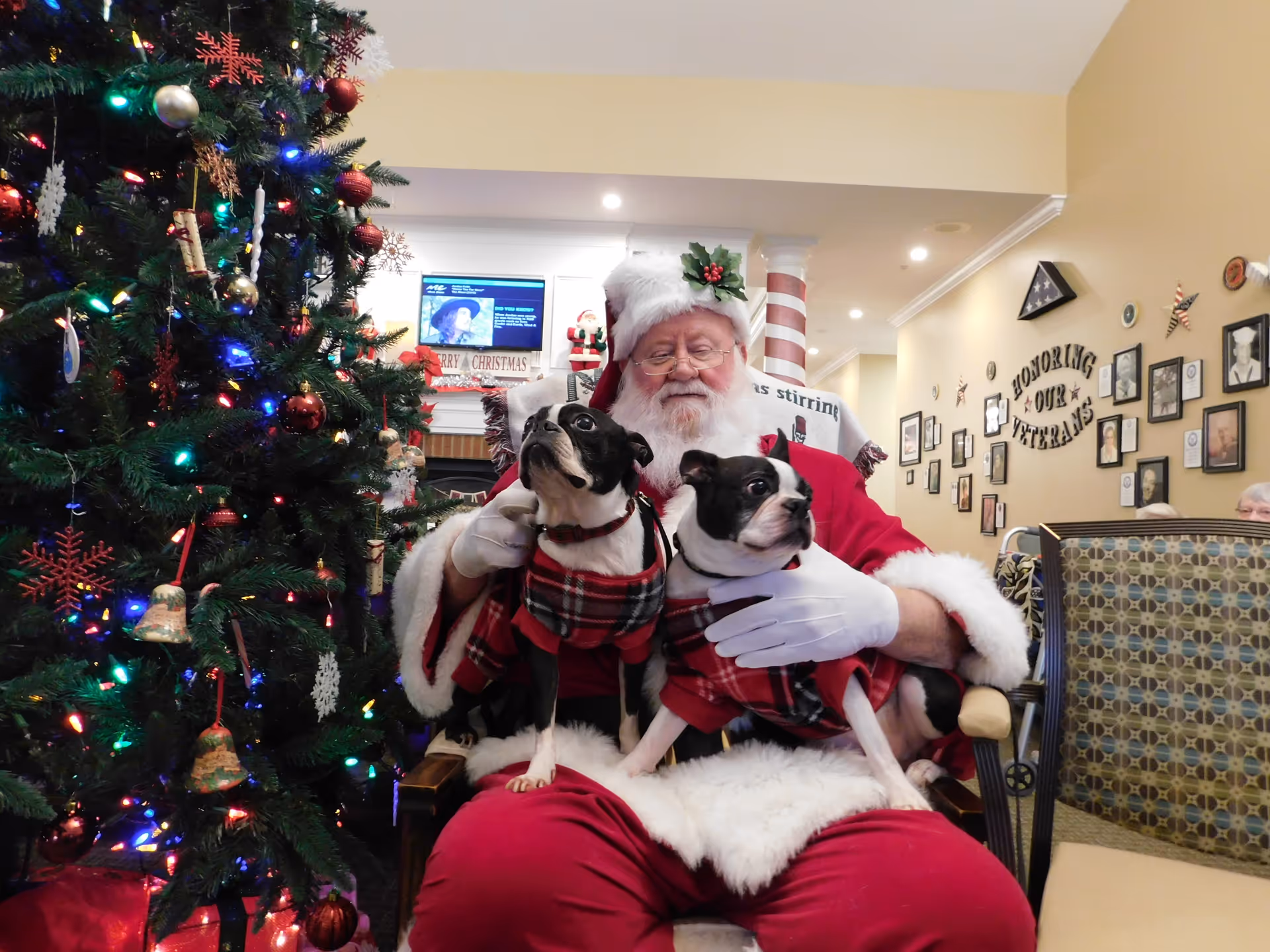 A man dressed as Santa Claus sitting in a chair holding two small dogs wearing matching red plaid outfits. To the left is a decorated Christmas tree with colorful lights and ornaments. The background shows a wall with framed pictures and a sign that reads 'Honoring Our Veterans.'