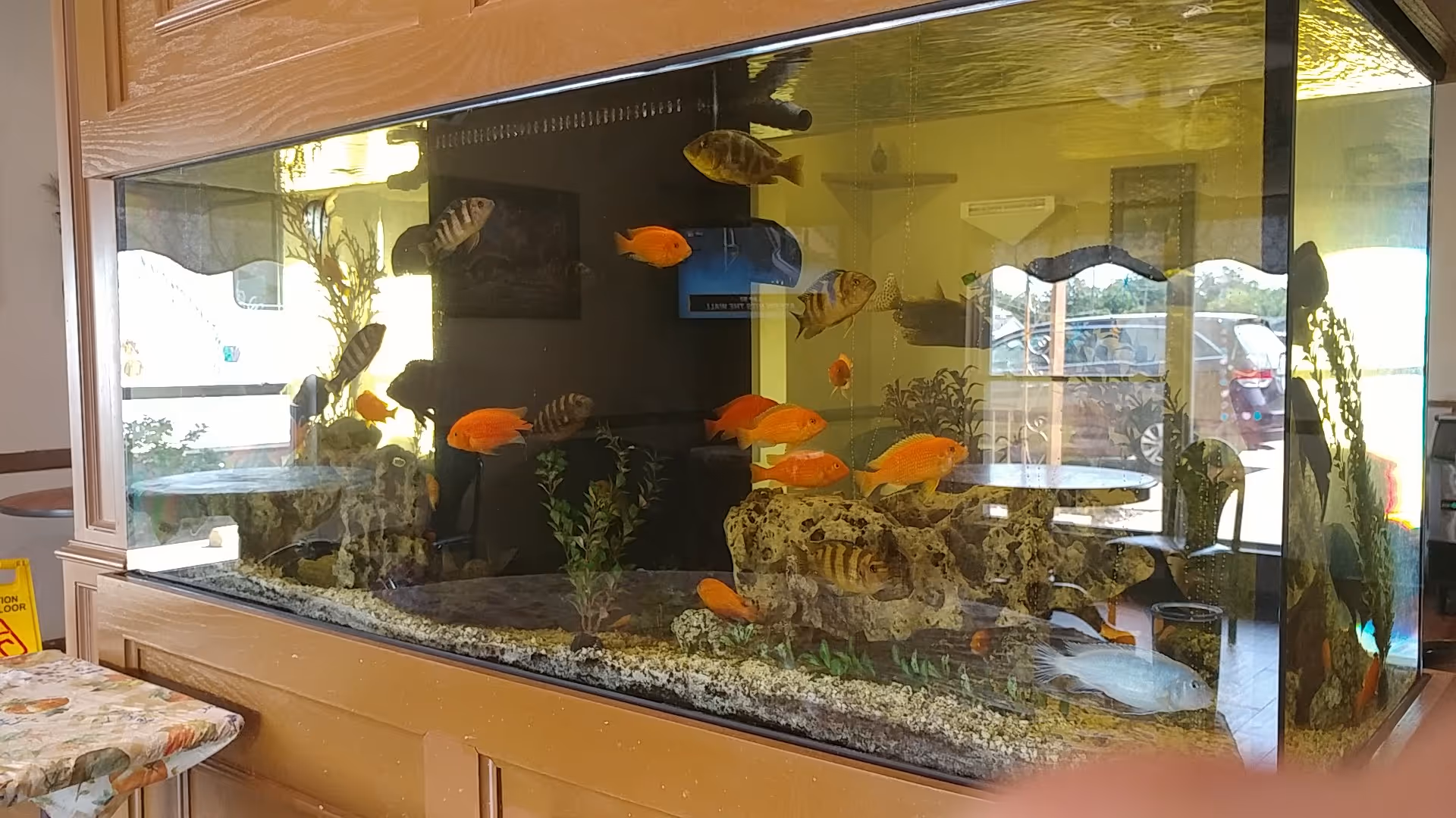 A large aquarium filled with orange and striped fish sits in a wooden enclosure in a facility common area.