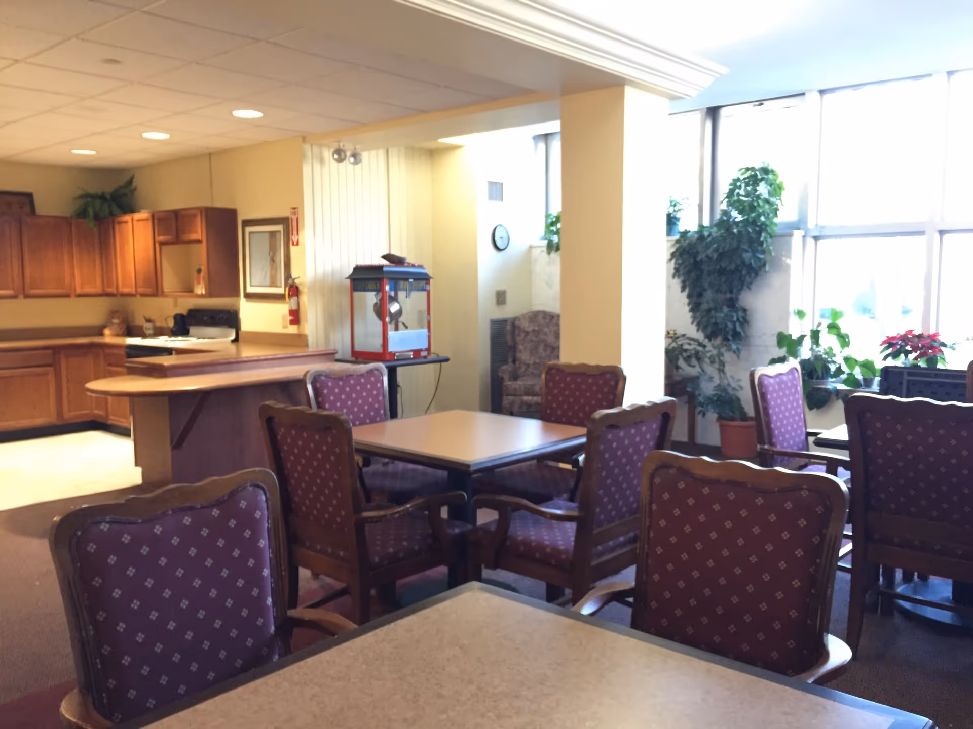Interior view of a senior living facility dining area with several tables and chairs featuring purple upholstery. In the background, there is a kitchen area with wooden cabinets, a stove, and a popcorn machine on a small table. Large windows let in natural light, and there are several potted plants near the windows.