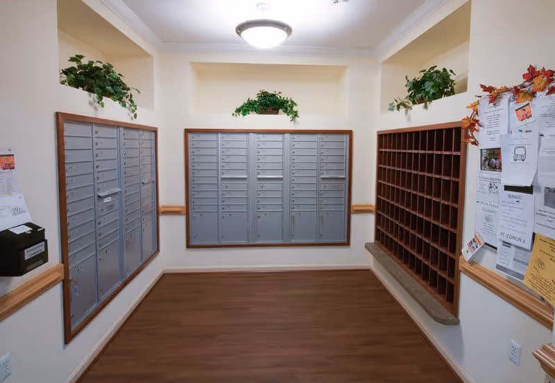 A mailroom with multiple silver mailboxes mounted on the walls in a U-shape. There are green plants placed on ledges above the mailboxes. On the right side, there is a bulletin board with various flyers and notices pinned to it. The floor is wooden, and the walls are painted a light cream color.