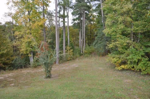 A grassy clearing surrounded by tall trees with green and yellow leaves, indicating a natural outdoor wooded area.