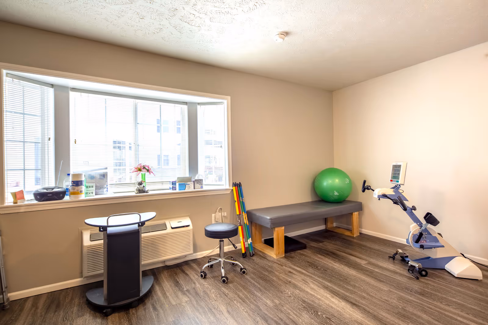 Bright therapy/exercise room with a treatment bench, recumbent exercise bike, green stability ball, stool, and a large window.