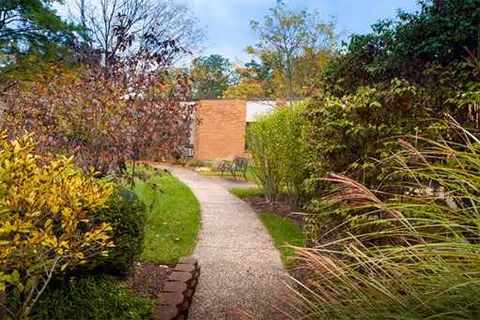 A paved garden path winds by shrubs toward a brick building exterior.