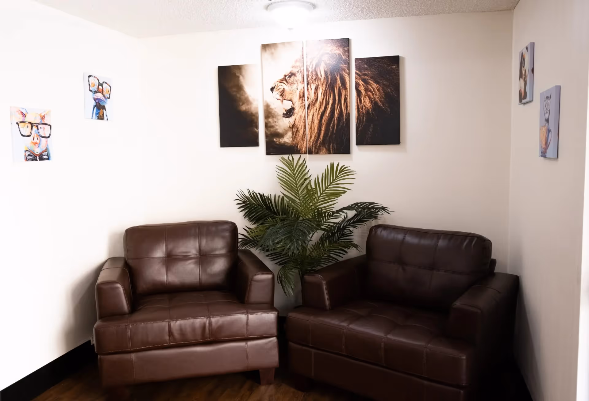 A cozy corner with two brown leather armchairs separated by a green leafy plant. Above the plant is a multi-panel wall art of a roaring lion. On the adjacent walls, there are small colorful paintings of animals wearing glasses.
