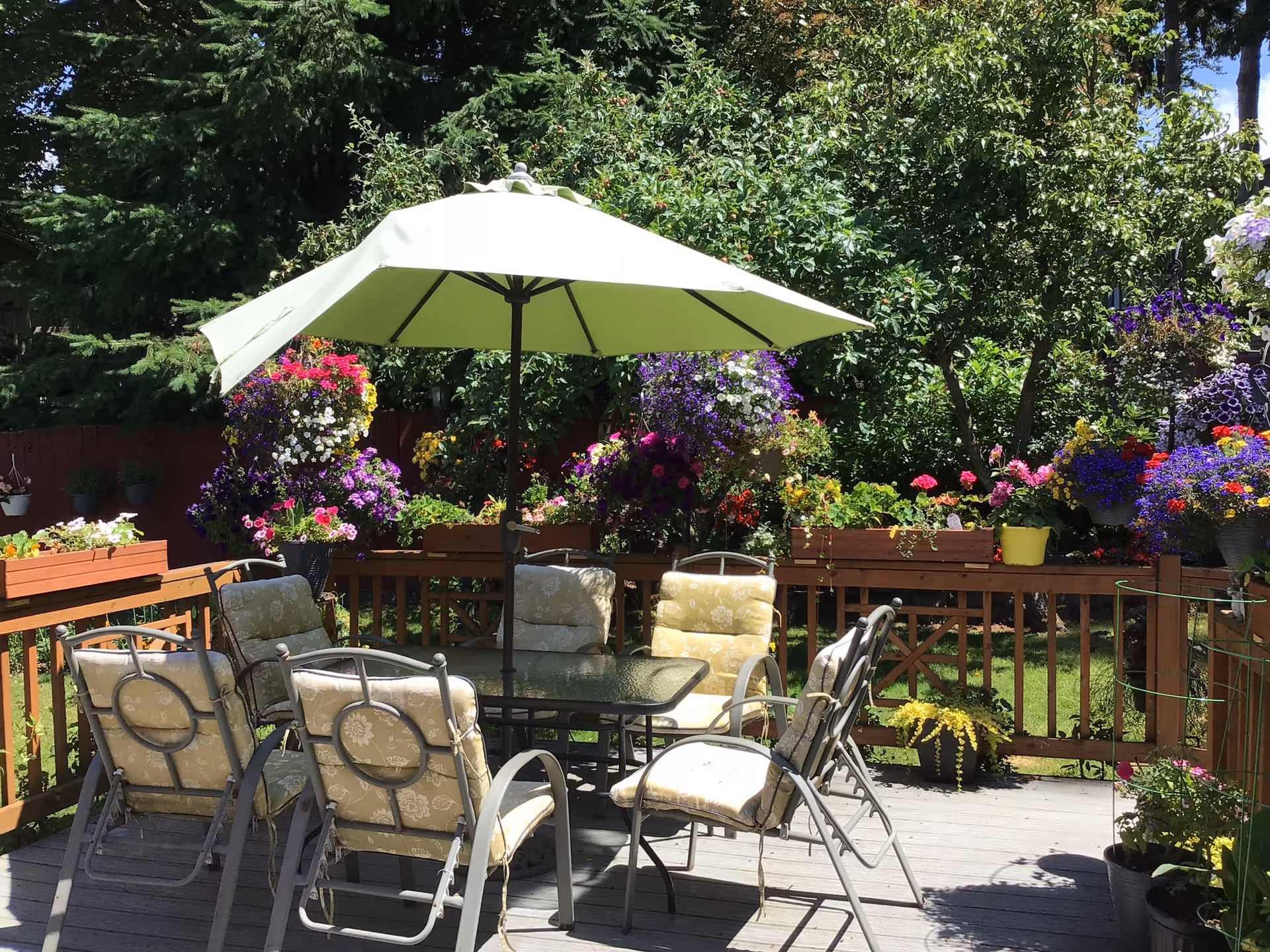 Outdoor patio area with a glass-top table surrounded by six cushioned chairs. A large white umbrella provides shade. The patio is decorated with numerous colorful flowering plants in pots and hanging baskets, with green trees and a wooden fence in the background.