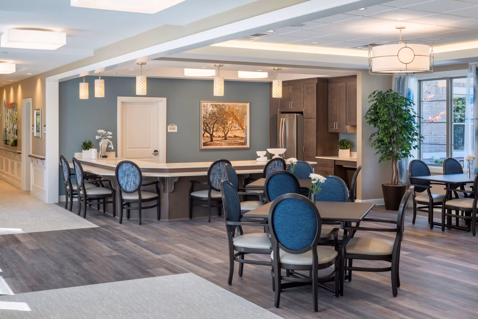 A bright and modern dining area in a senior living facility featuring several tables with blue cushioned chairs, a kitchen area with dark wood cabinets and stainless steel refrigerator, pendant lighting, a large window with curtains, and a framed picture on a blue accent wall.