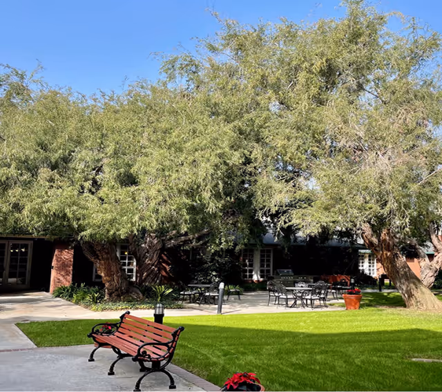 Outdoor courtyard area at Carmel Village Retirement Community featuring green grass, large leafy trees, a red wooden bench with black metal armrests and legs, several black metal tables and chairs, and a brick building with multiple windows in the background under a clear blue sky.