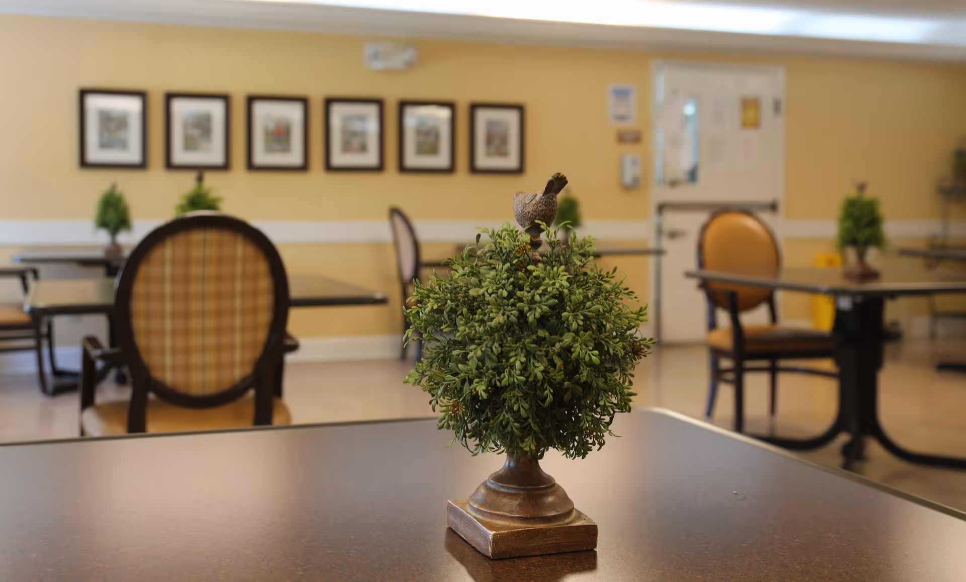 A dining area with tables and chairs, featuring a small decorative plant with a bird figurine on a table in the foreground. The background shows more tables and chairs, framed pictures on a yellow wall, and a door.