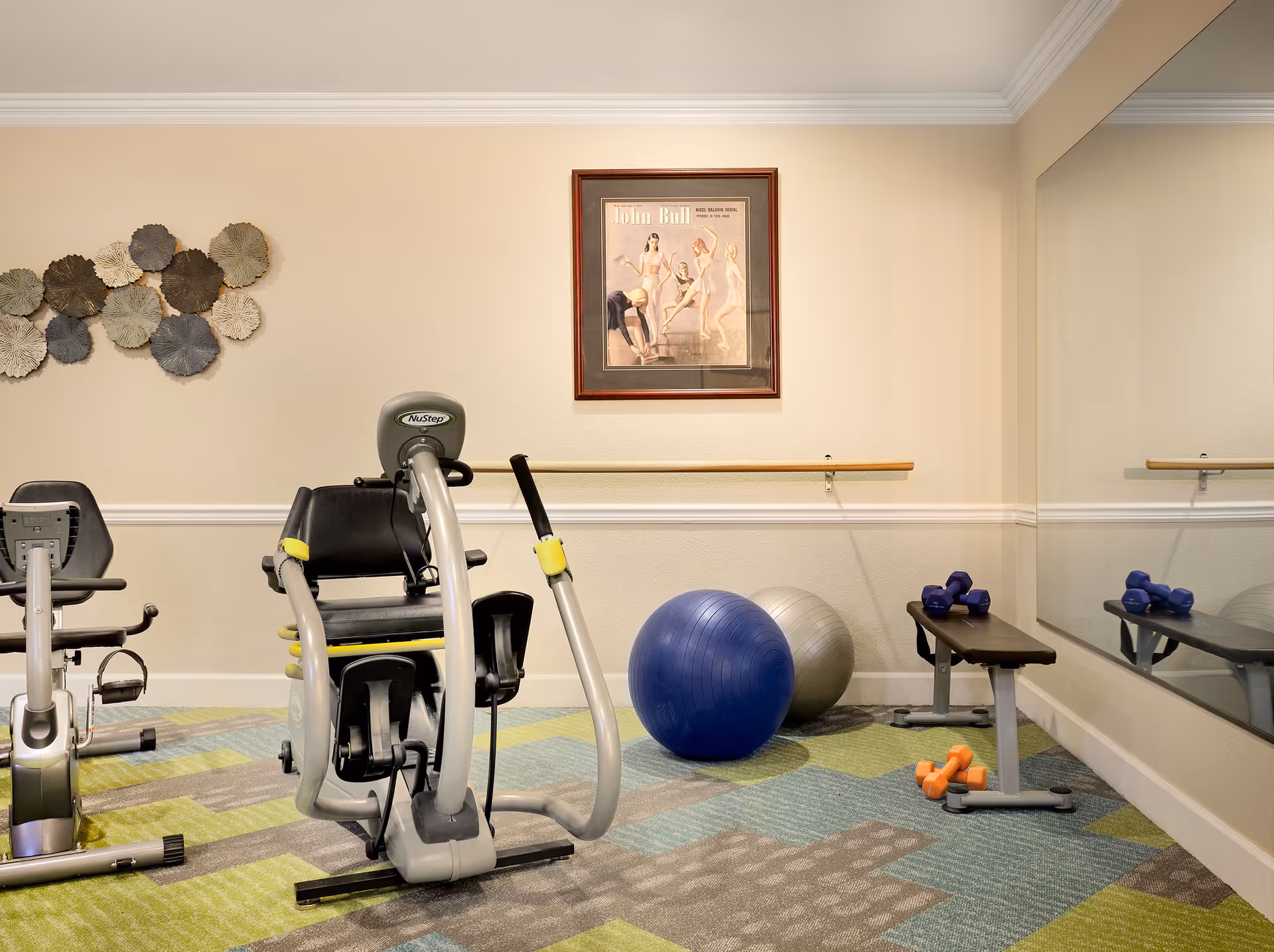 A small exercise room with a NuStep recumbent cross trainer, a stationary bike, two exercise balls (one blue and one silver), a bench with blue dumbbells on top, and orange dumbbells on the floor. The room has a patterned carpet, a large wall mirror, a framed picture on the wall, and decorative wall art.