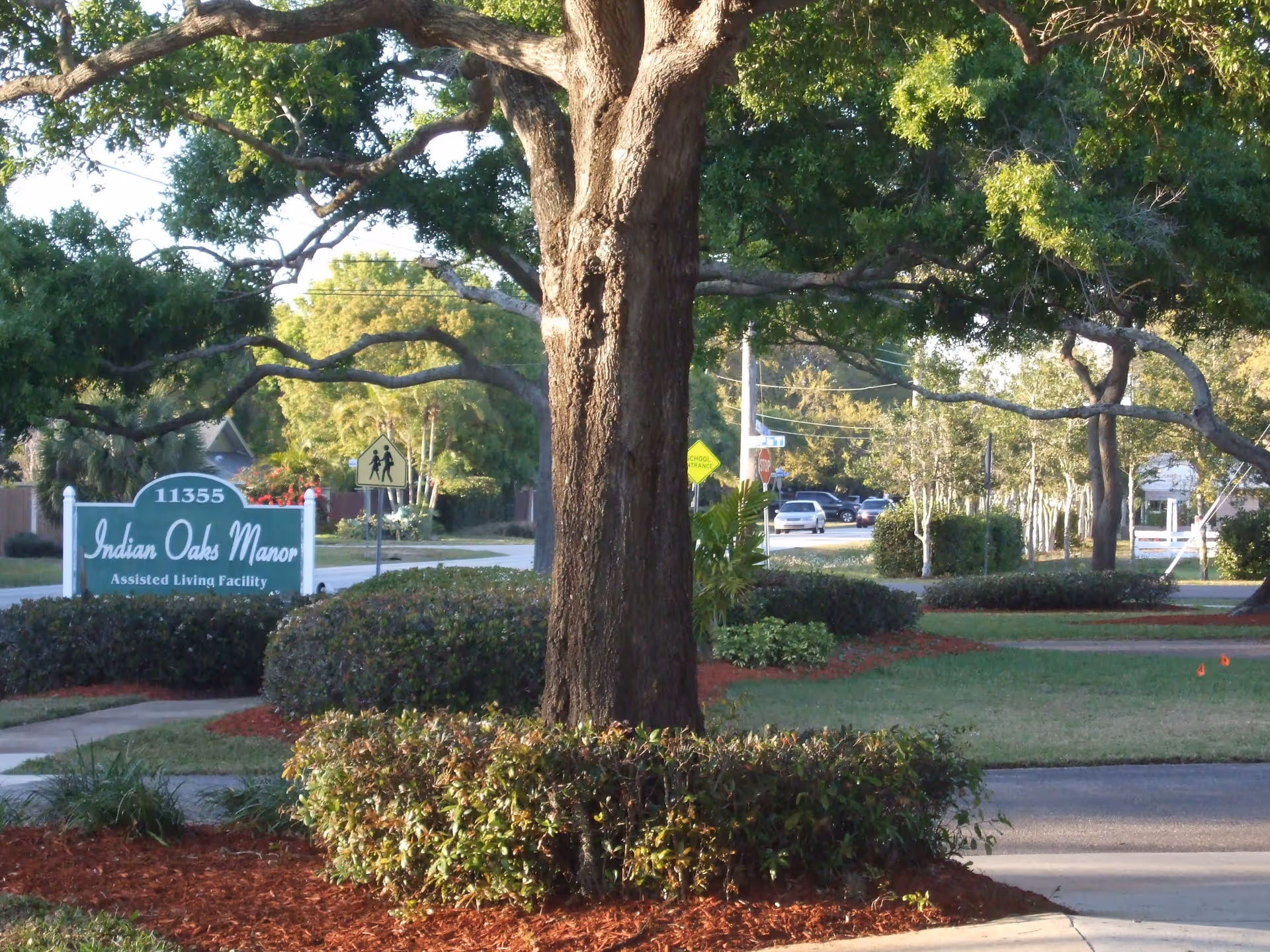 Outdoor view of the entrance area to Indian Oaks Manor Assisted Living Facility, featuring a large tree in the foreground, manicured bushes, a sidewalk, and a green sign with white text displaying the facility name and address. There are cars and street signs visible in the background along a road.