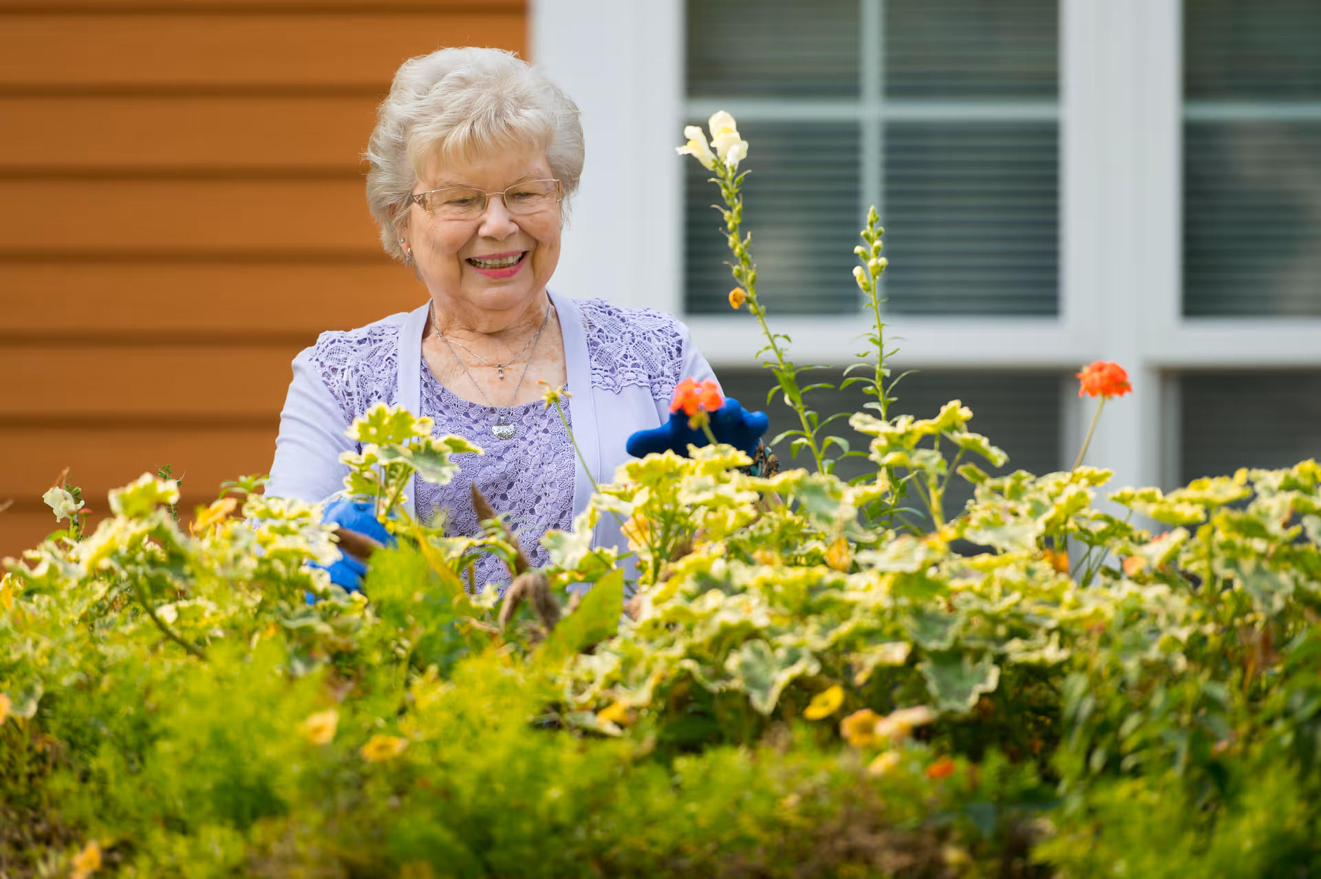 An elderly woman wearing glasses and blue gardening gloves is smiling while tending to a garden with various green plants and flowers in front of a building with orange siding and white-framed windows.