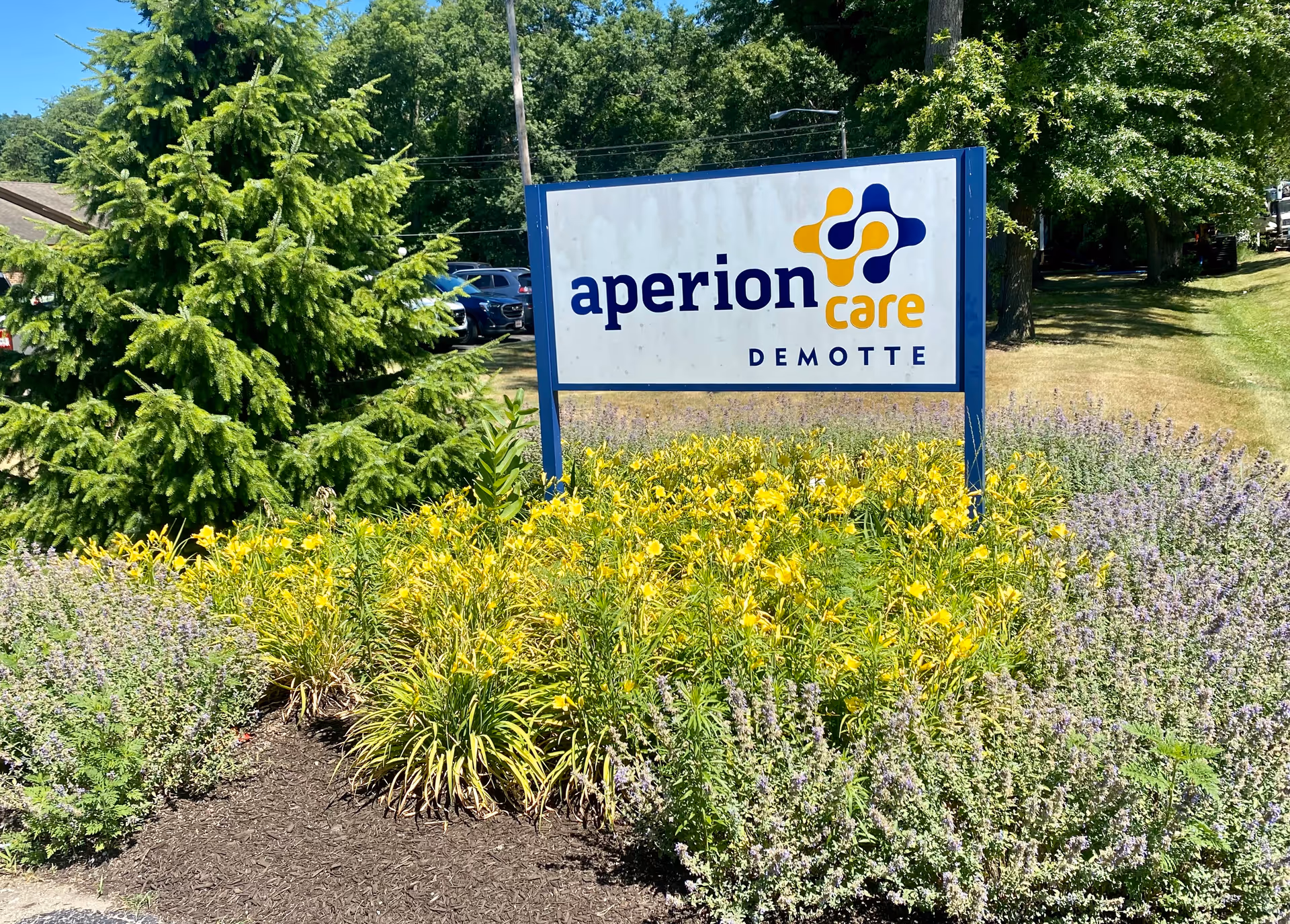 Outdoor view of a sign for Aperion Care Demotte surrounded by yellow and purple flowering plants, with trees and parked cars in the background under a clear blue sky.