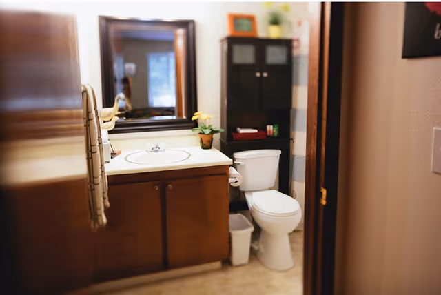A bathroom with a wooden vanity cabinet, a white sink, a mirror above the sink, a toilet, a small trash bin, and a black storage cabinet with shelves holding towels and other items. A small potted plant with yellow flowers is on the vanity.