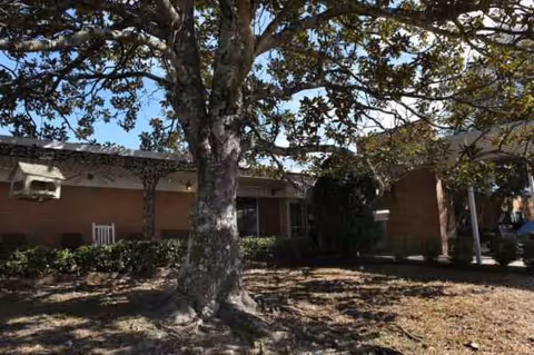 Exterior view of Meadowview Health & Rehab Center with a large tree and shrubs in front.