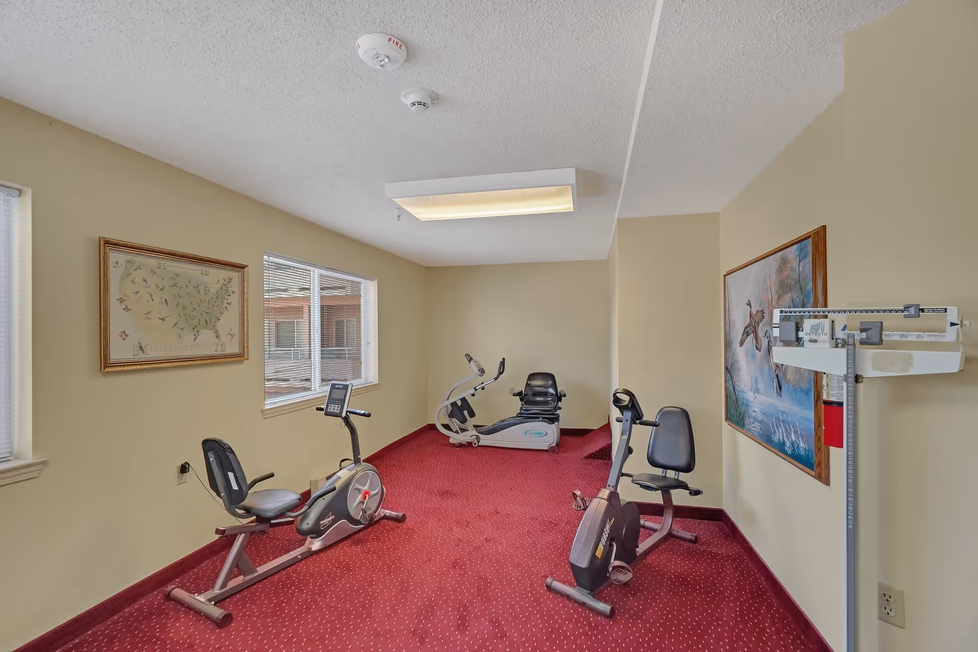 Small exercise room with red carpet, beige walls, and three stationary exercise bikes. There are two windows on the left wall, a framed map of the United States, and a framed painting of a deer on the right wall. A medical scale is positioned near the painting.