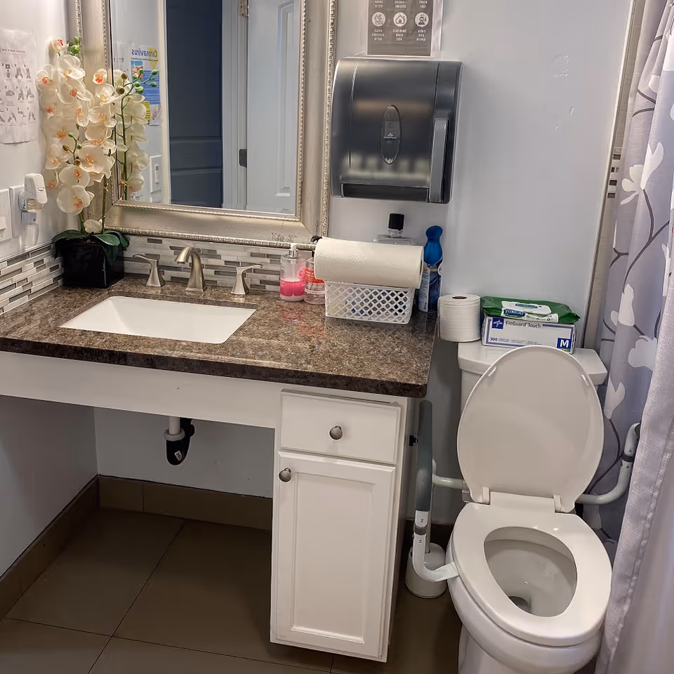 A clean bathroom with a white toilet and a granite countertop sink. The toilet has support rails on both sides. On the countertop, there is a soap dispenser, a paper towel roll in a basket, and other hygiene items. A large mirror with a decorative frame hangs above the sink, and a paper towel dispenser is mounted on the wall. A shower curtain with a floral pattern is partially visible on the right side.