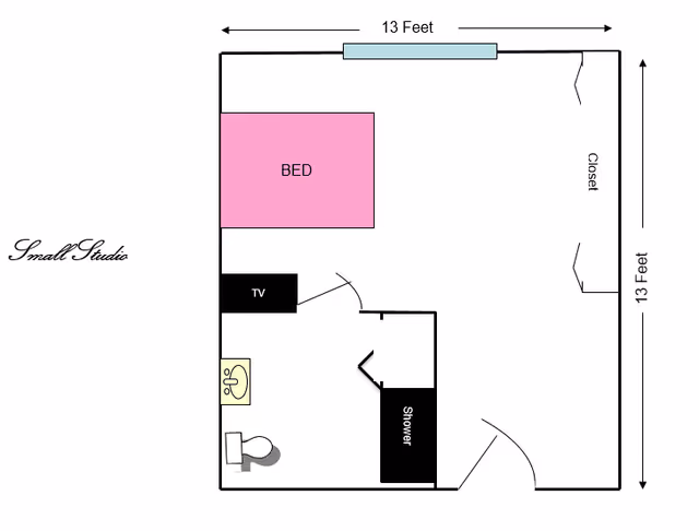 Floor plan of a small studio apartment measuring 13 feet by 13 feet. The layout includes a bed area, a TV mounted near the bed, a bathroom with a sink, toilet, and shower, and a closet. The entrance door is located near the closet.
