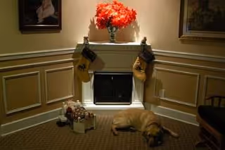 Cozy living room with a fireplace, stockings, red flowers on the mantel, and a sleeping dog.