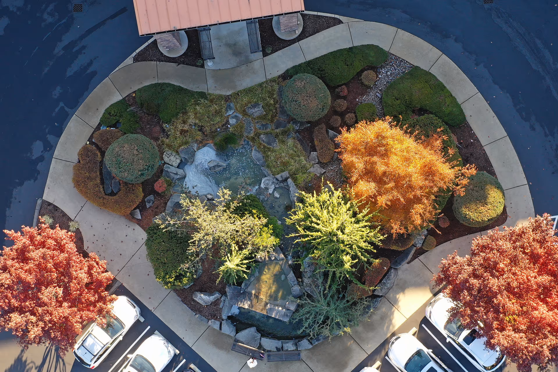 Aerial view of a landscaped circular garden area with various trees and shrubs in autumn colors, surrounded by a curved sidewalk and parked cars in a parking lot.