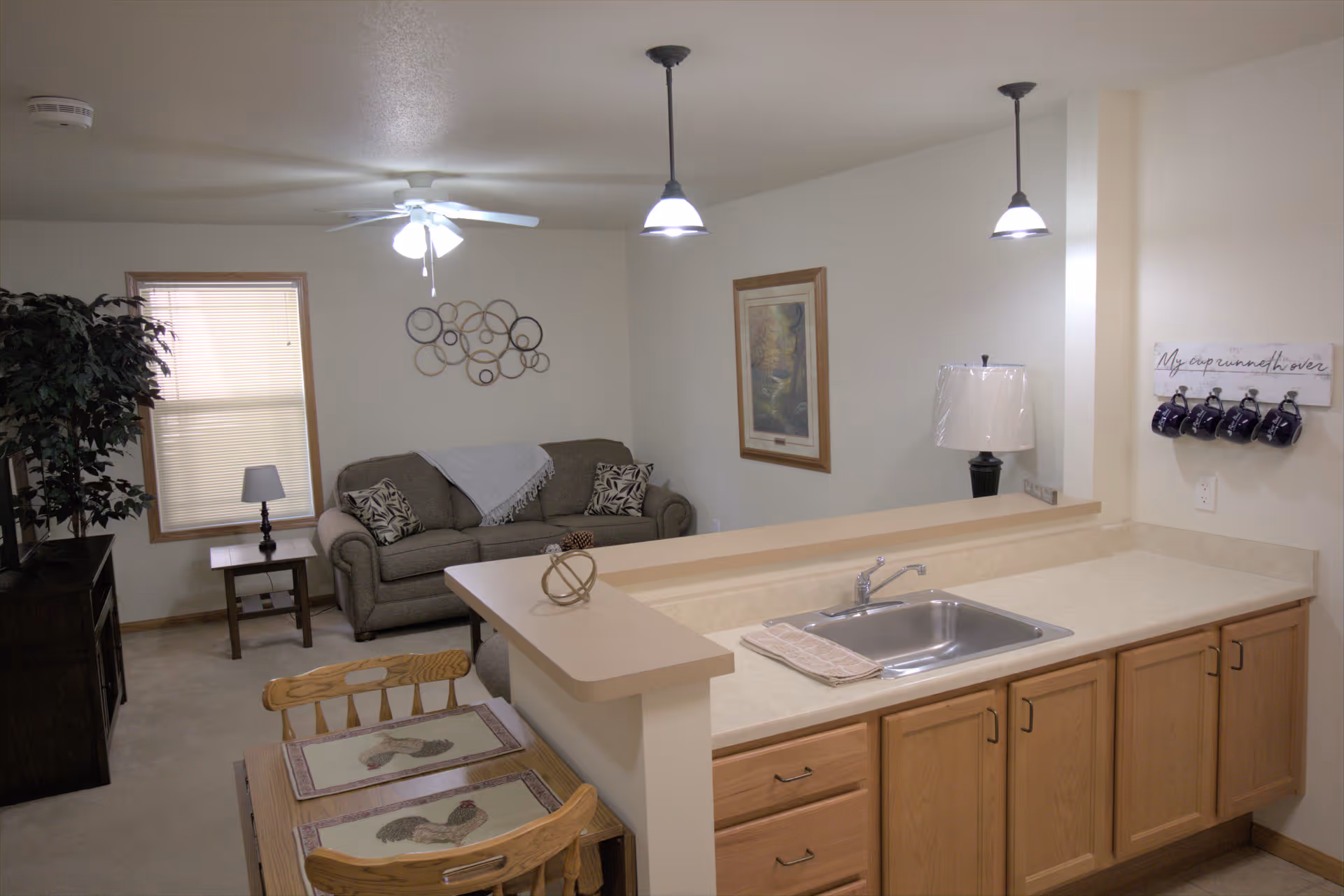 Open-plan kitchen counter with a sink in the foreground and a living room with a sofa, lamp, and TV in the background.