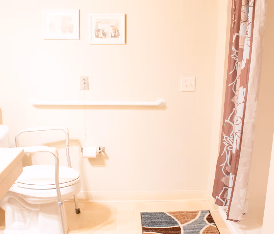 A bathroom with a white toilet equipped with safety rails, a toilet paper holder on the wall, a grab bar mounted horizontally on the wall, two framed pictures above the grab bar, a patterned shower curtain on the right, and a multicolored bath mat on the floor.