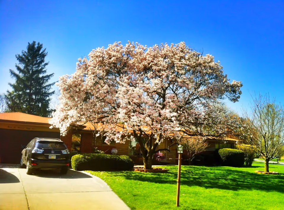 Photo of Bloomfield Villa