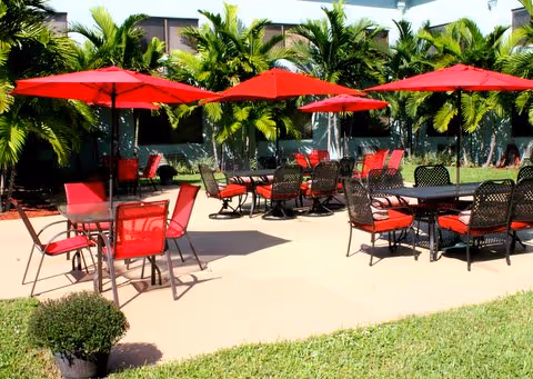 Outdoor patio area with multiple tables and chairs, each table shaded by a red umbrella. The patio is surrounded by green grass and tall palm trees, creating a tropical atmosphere.