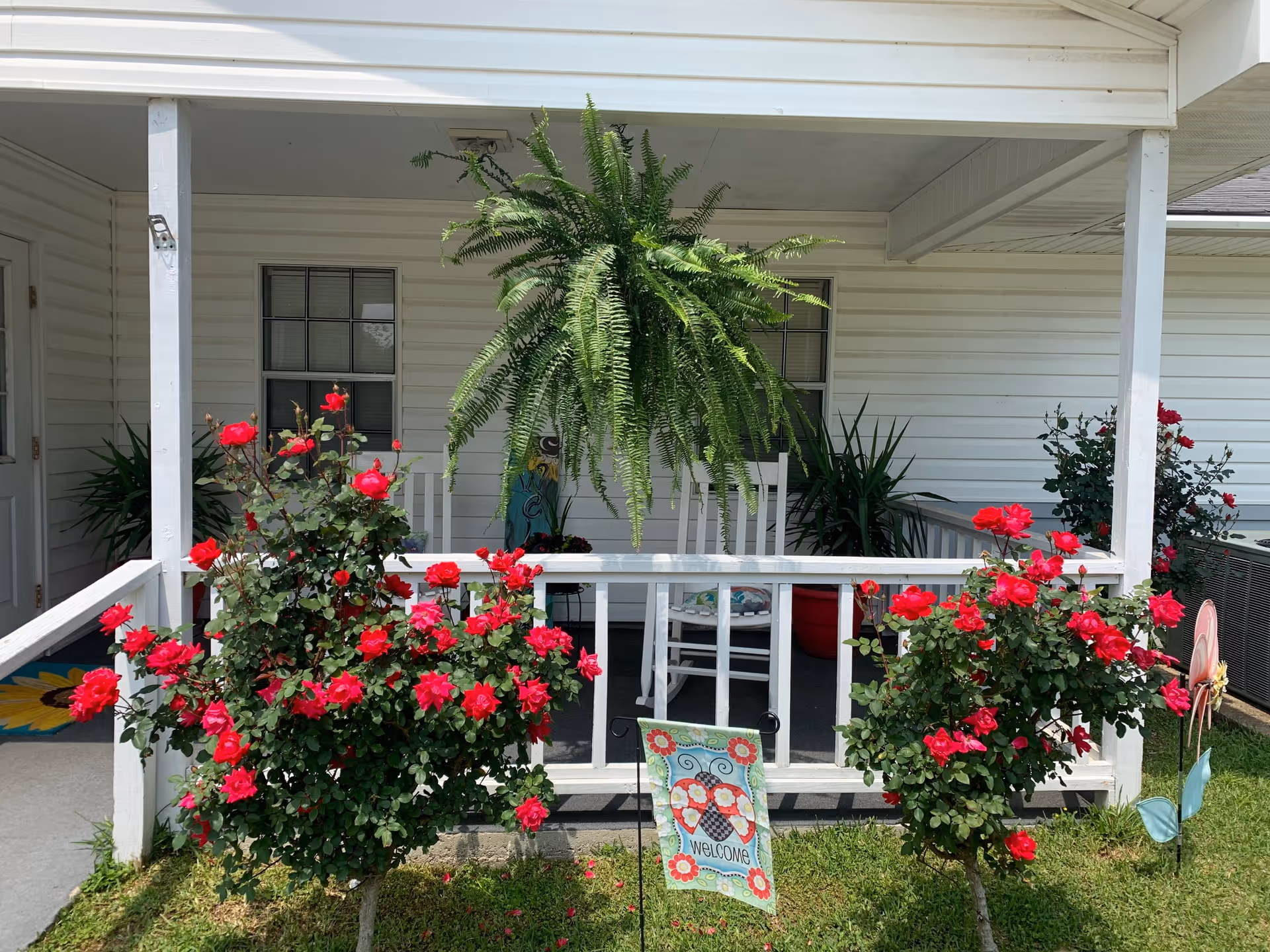 Front porch with a hanging fern, white rocking chair, and red rose bushes flanking a small welcome flag.