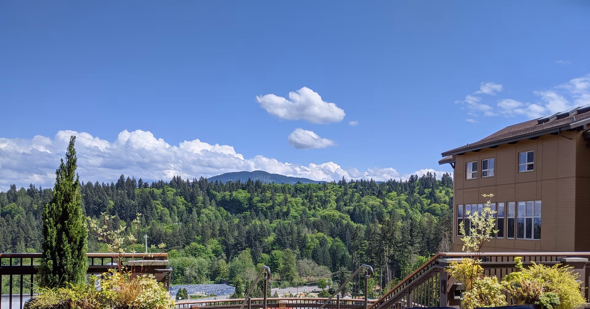 View from a balcony showing planters and railing in the foreground, a forested hillside, a blue sky with clouds, and part of a building on the right.