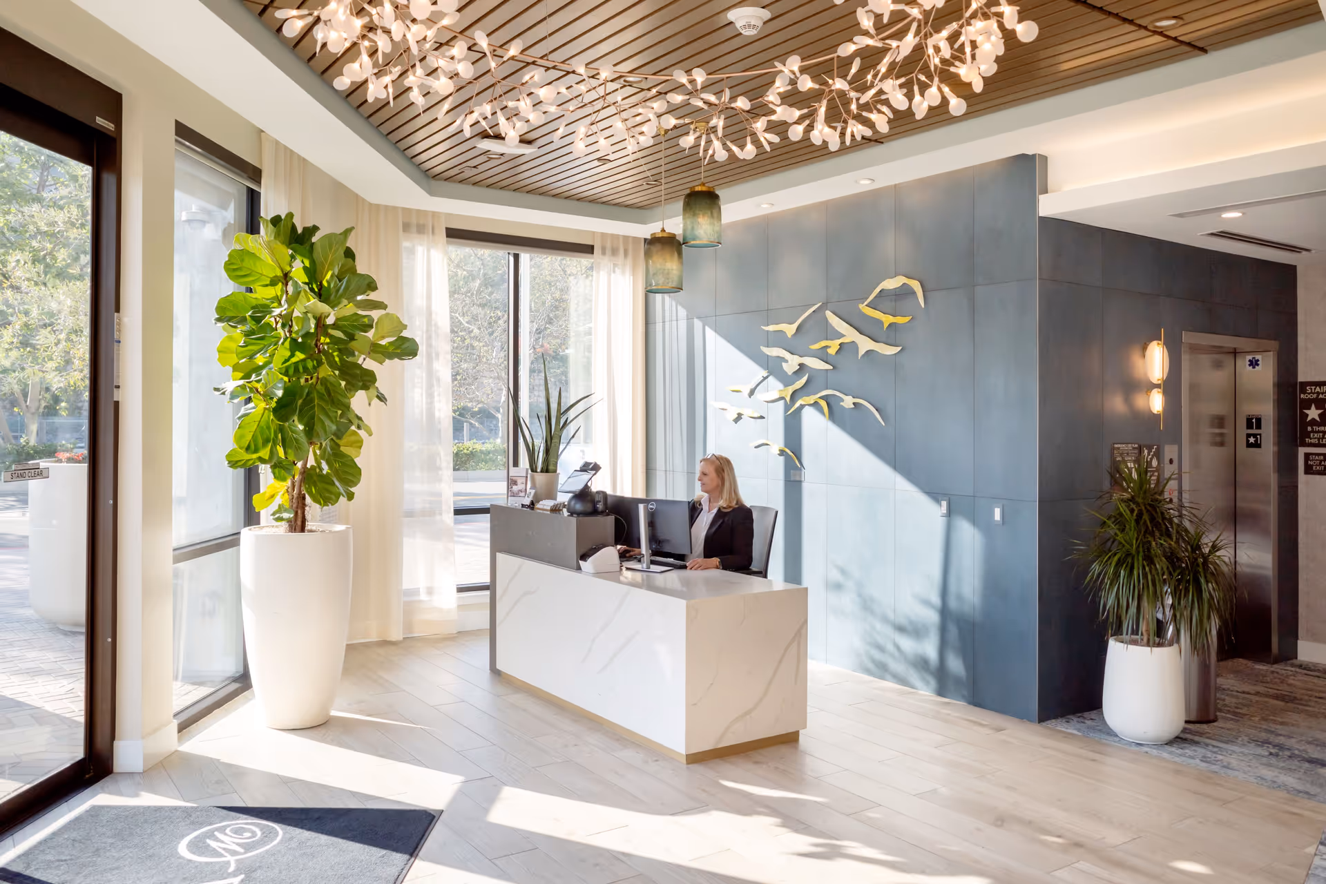 Bright and modern reception area with a woman seated behind a white marble reception desk, large windows with sheer curtains letting in natural light, two large potted plants, a decorative wall with golden bird sculptures, and an elevator in the background.