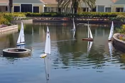 A pond with several small model sailboats floating near landscaped waterfront and residential buildings with palm trees.