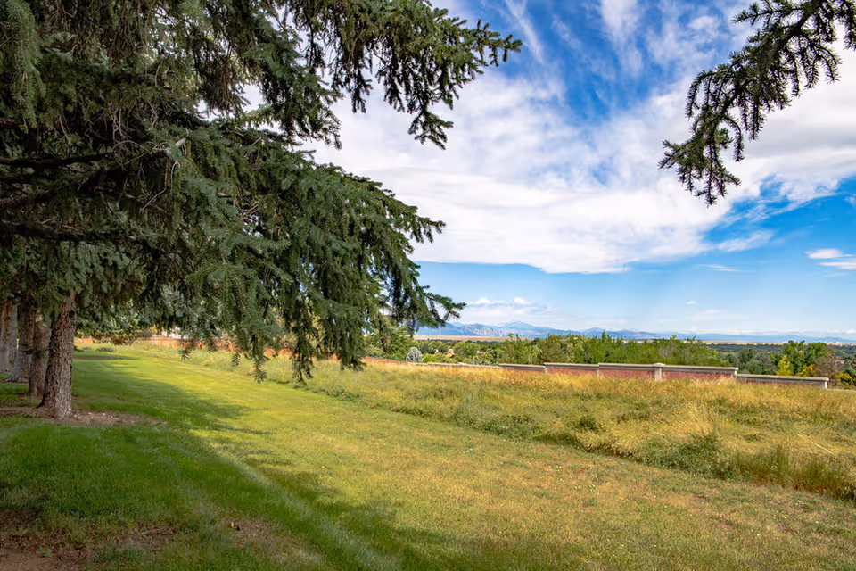 A scenic outdoor view featuring a grassy area with tall trees on the left side and a partly cloudy blue sky above. In the distance, there are more trees and a low brick wall, with mountains visible on the horizon.