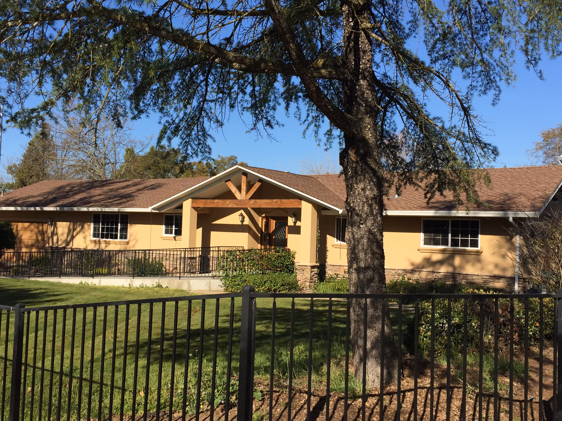 Single-story building with a brown roof and beige walls, surrounded by trees and greenery. A black metal fence is in the foreground, and a large tree stands prominently in front of the building under a clear blue sky.