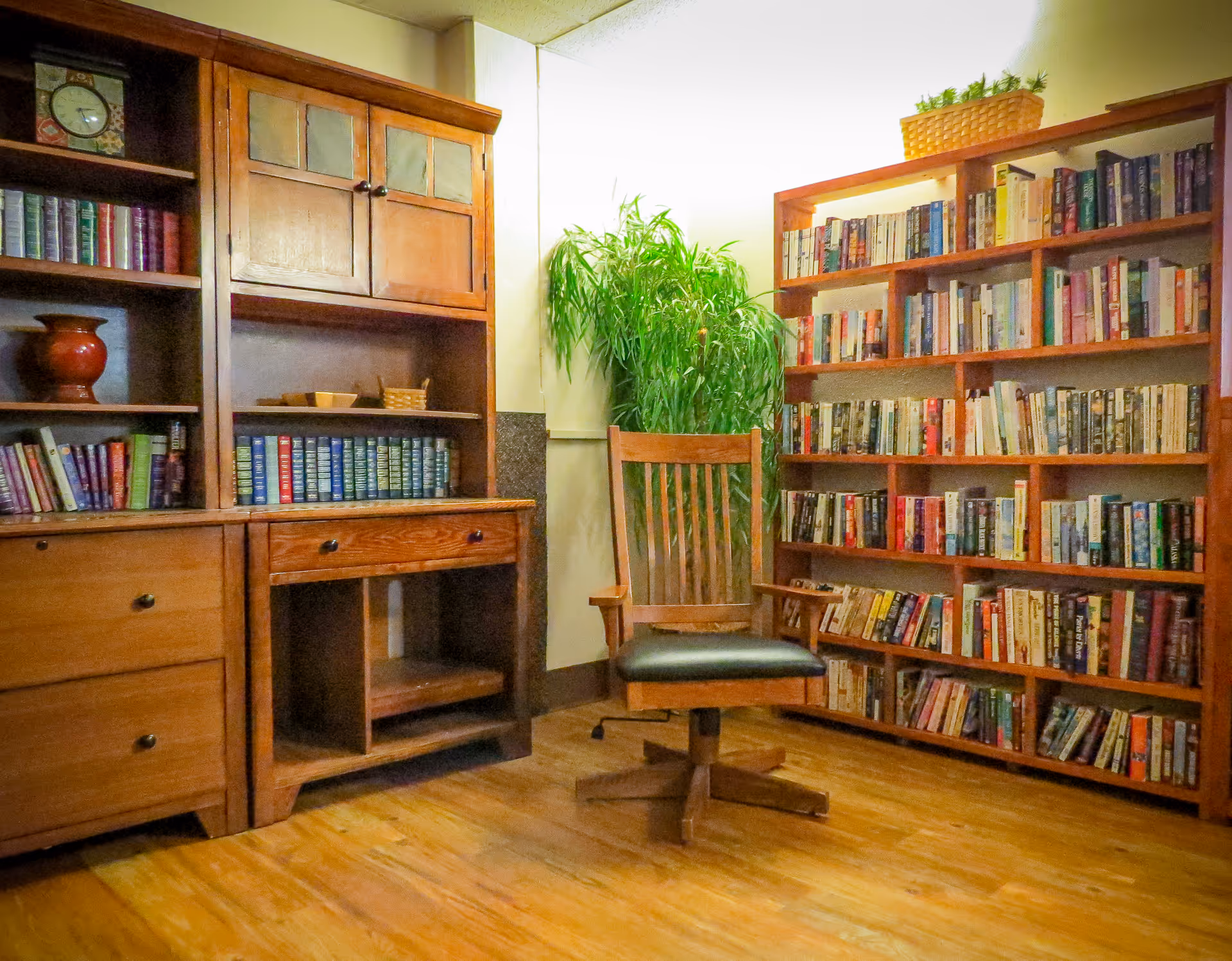 A cozy reading nook with wooden bookshelves filled with books, a wooden swivel chair with a black cushion, a tall green plant in the corner, and wooden flooring.