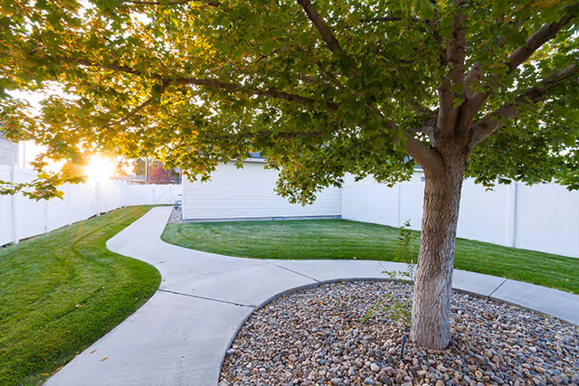 A well-maintained outdoor area with a concrete pathway curving around a tree planted in a circular bed filled with small rocks. The area is surrounded by green grass and white fencing, with sunlight filtering through the tree's leaves.