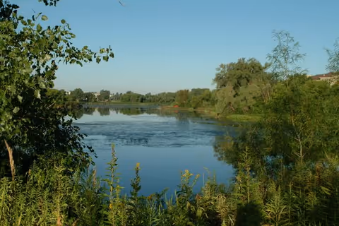 A peaceful lake surrounded by green trees and vegetation under a clear blue sky.